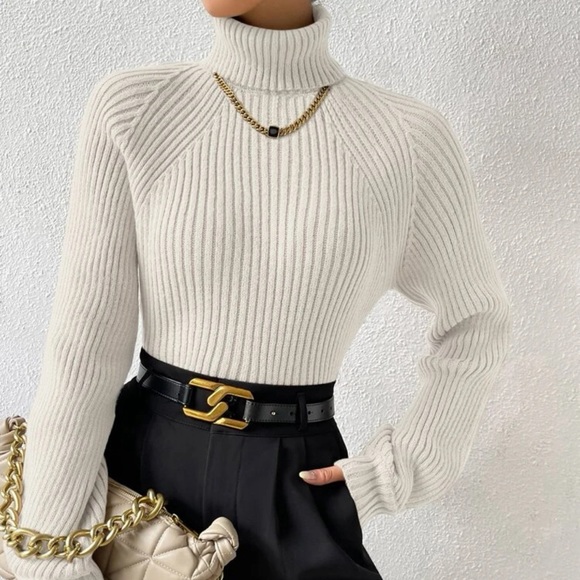 🍦𝐒𝐇𝐄𝐈𝐍 𝑇𝑢𝑟𝑡𝑙𝑒𝑛𝑒𝑐𝑘 𝑤ℎ𝑖𝑡𝑒 𝑠𝑤𝑒𝑎𝑡𝑒𝑟🍦 - Picture 3 of 4